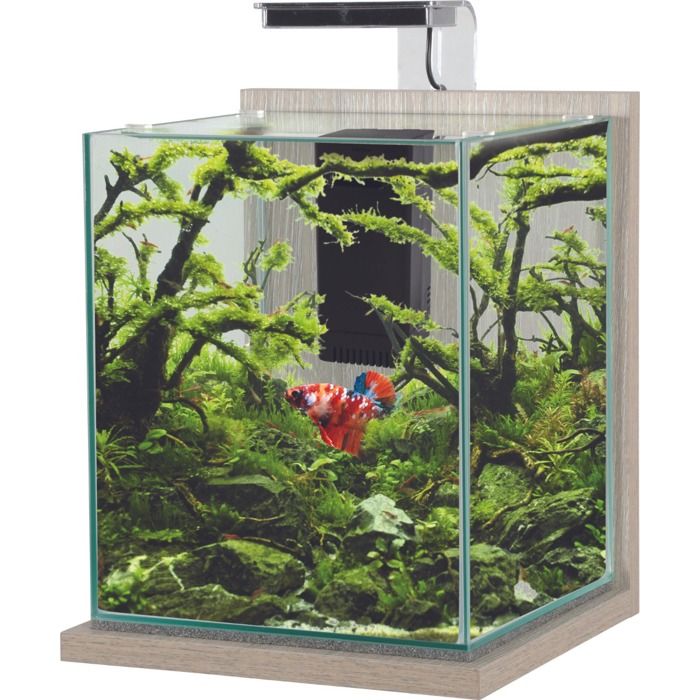 Comparer les prix de Aquarium Poisson Équipé 18,7 Litres Jalaya XL Zebrano Gris - Zolux - Carré - Éclairage - Filtre Cascade 30