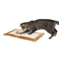 TRIXIE Griffoir sisal avec bord peluche - Pour chat-1