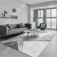 TD® Tapis gris salon maison chambre table basse canapé moderne nordique minimaliste léger luxe isolation phonique avancée 160 x 230-2