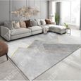 TD® Tapis gris salon maison chambre table basse canapé moderne nordique minimaliste léger luxe isolation phonique avancée 160 x 230-3