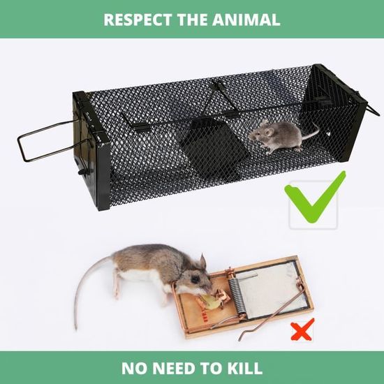 SURENHAP Piège à rats Fer Rat Piège à Souris Cage Simple Porte Animal  Vivant Piège pour Intérieur Extérieur Petit jardin nuisible - Cdiscount  Jardin