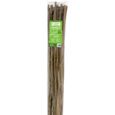 Tuteurs en bambou - Naturel - 150 cm - Pack de 25 - Pour plantes, fleurs et légumes-0