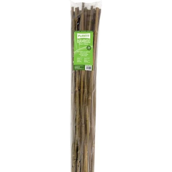 Tuteurs en bambou - Naturel - 150 cm - Pack de 25 - Pour plantes, fleurs et légumes