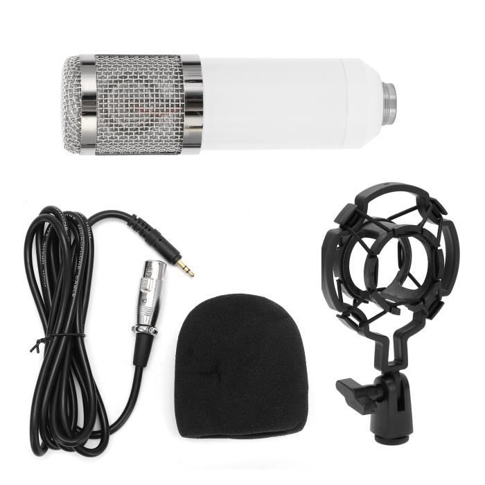 Akozon microphone de diffusion Microphone professionnel Mini dispositif ...