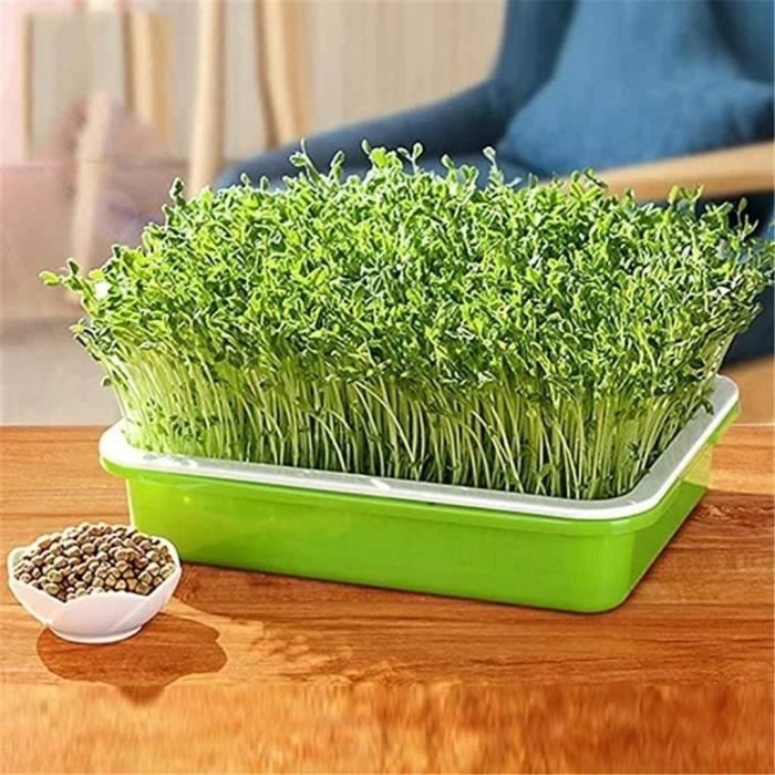 EarlyGrow Plateau De Germination Bombé Avec Rallonge Latérale - Vert Moyen