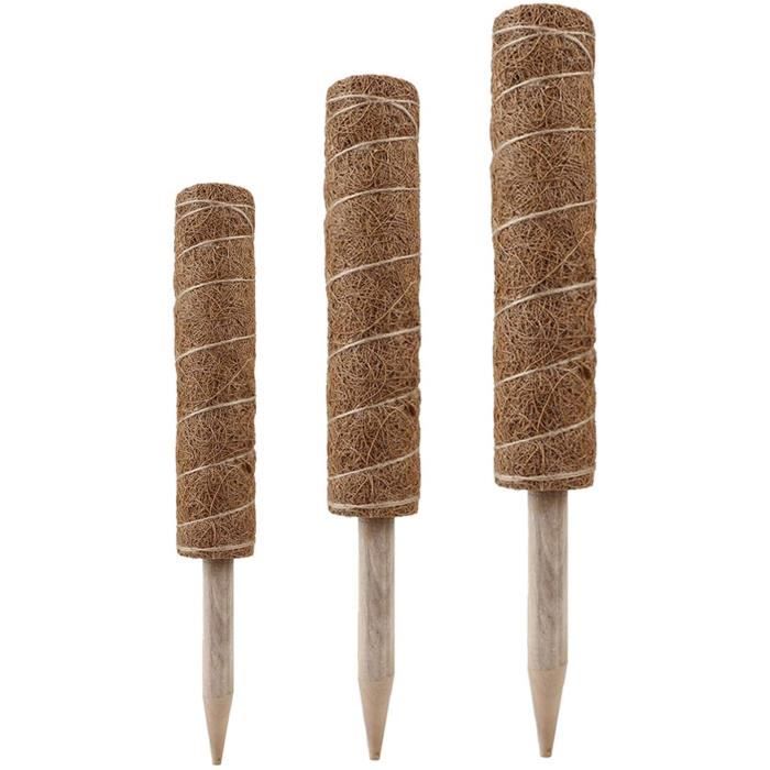 Lot De 3 M ts D escalade Pour Plantes Grimpantes En Pot 30 Cm 40 Cm lot-de-3-m-ts-d-escalade-pour-plantes-grimpantes-en-pot-30-cm-40-cm