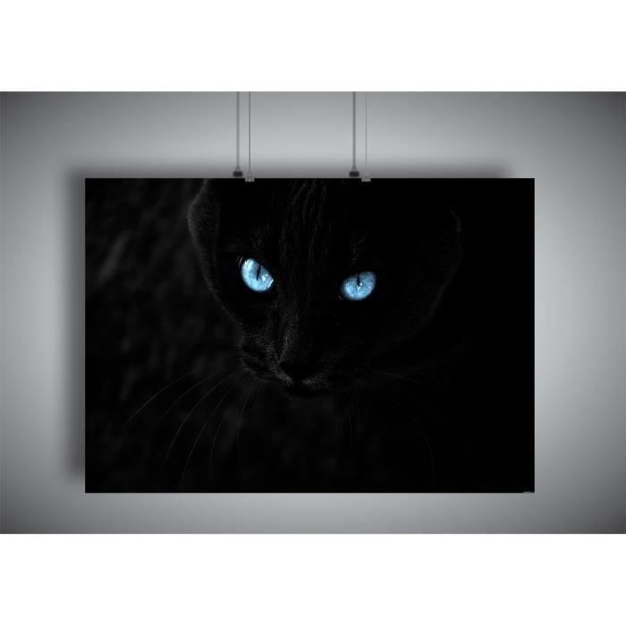 Poster Chat Noir Yeux Bleua4 21x297cm