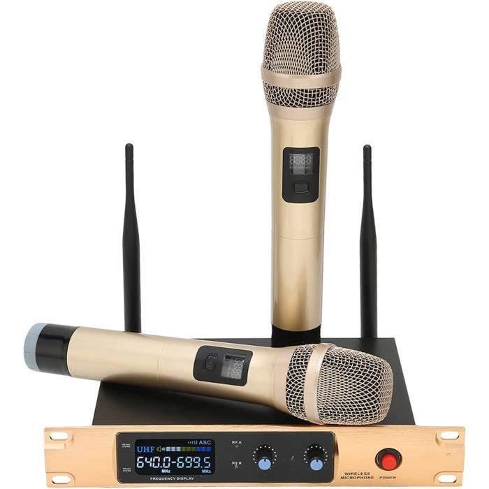 Acheter Microphones de karaoké Ensemble de système de micro portable double sans  fil professionnel UHF