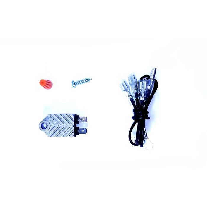 Remplacement Rupteurs Condensateurs Module Allumage Universel Jardiaffaires - Pour Moteurs 2T/4T Forte Puissance 4 Temps