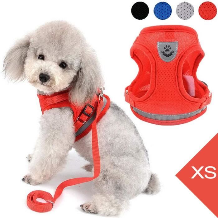 Comparer les prix de Harnais Animal,Harnais chien Ajustable Filet avec Chiots Laisse,Douillet Harnais Chat avec Ensemble de Bande réfléchissante-Rouge XS