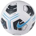 Nike Academy Team Ball-1