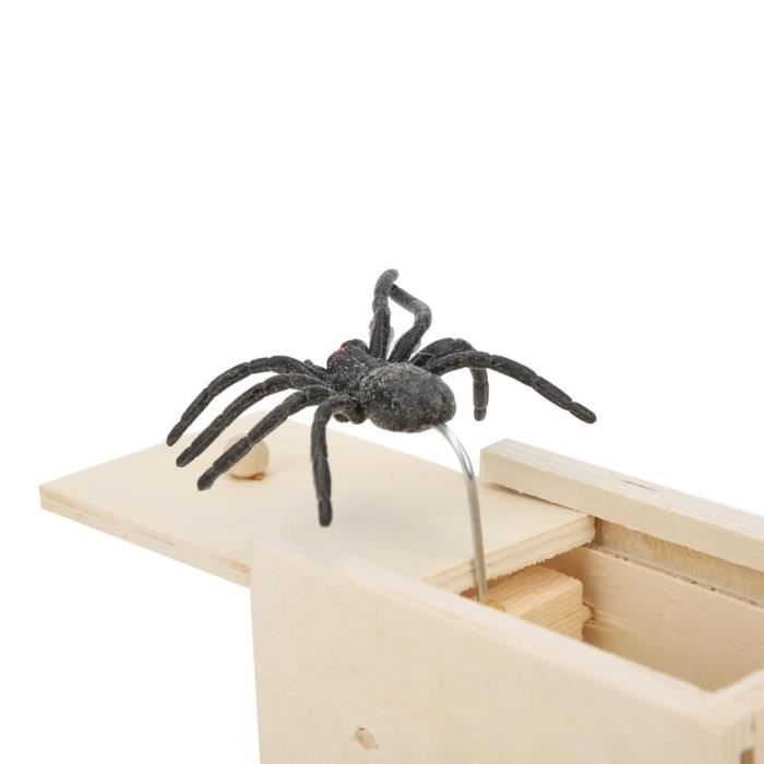 boîte de peur de la farce d'araignée, boîte de Maroc