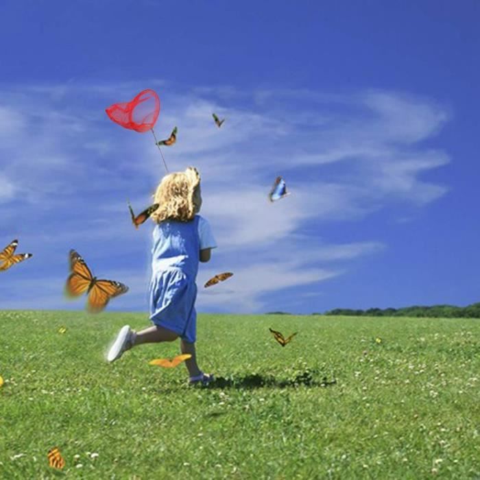 2X Attraper Attraper Le Papillon PêChe Au Filet Sac En Filet De PêChe