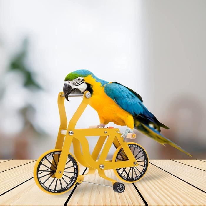Fonowx Grande roue pour oiseau, jouet de recherche d'oiseaux, roue de  recherche de nourriture portable pour animal domestique : :  Animalerie