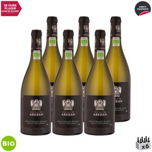 VIN BLANC Vino de la Tierra de Castilla Sauvignon Blanc Blanc 2020 - Bio - Lot de 6x75cl - Castillo de Aresan - Vin IGP Blanc - Origine