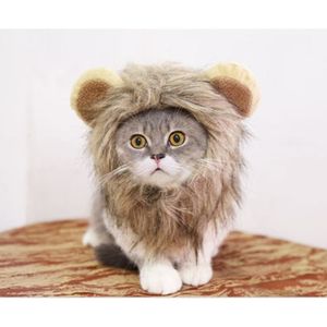 Bonnet Pour Chat Cdiscount