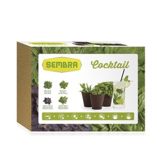 poussette ready to grow