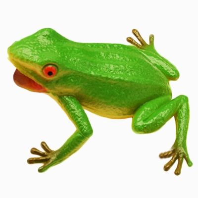 Figurine Grenouille Et Crapaud Réaliste - Jouet éducatif En PVC - Modèle Animalier Détaillé Pour Collection, Décoration Ou Apprentissage - 2