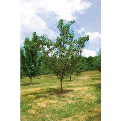 Filet Anti-oiseaux Vilmorin 5x10 M - Polyéthylène Résistant, Protection Potager Et Arbres Fruitiers