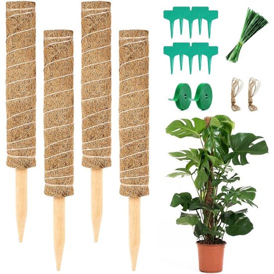 Tuteur Plante Original