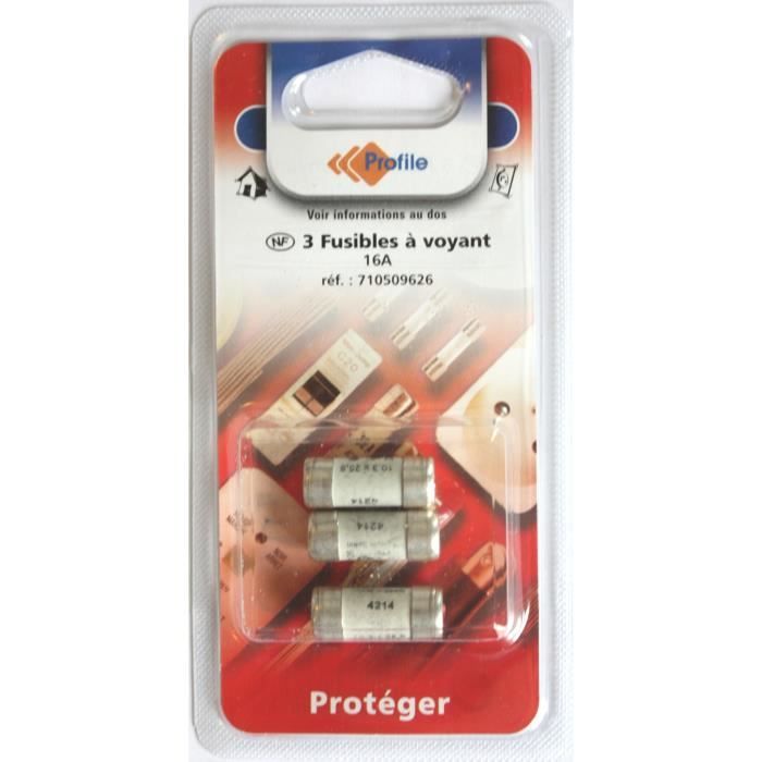 Lot de 3 fusibles à voyant 10,3 x 25,8 mm - 16A