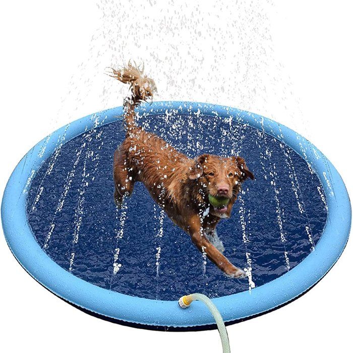 Piscine pour chien Ø 100 cm - Pliable - Jouet arroseur deau - Rafraîchissement pour chien - Piscine - Antidérapante