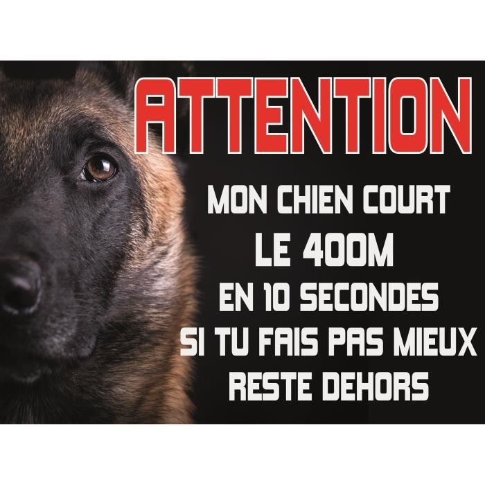 Plaque Attention au chien MALINOIS BERGER BELGE 40x30cm