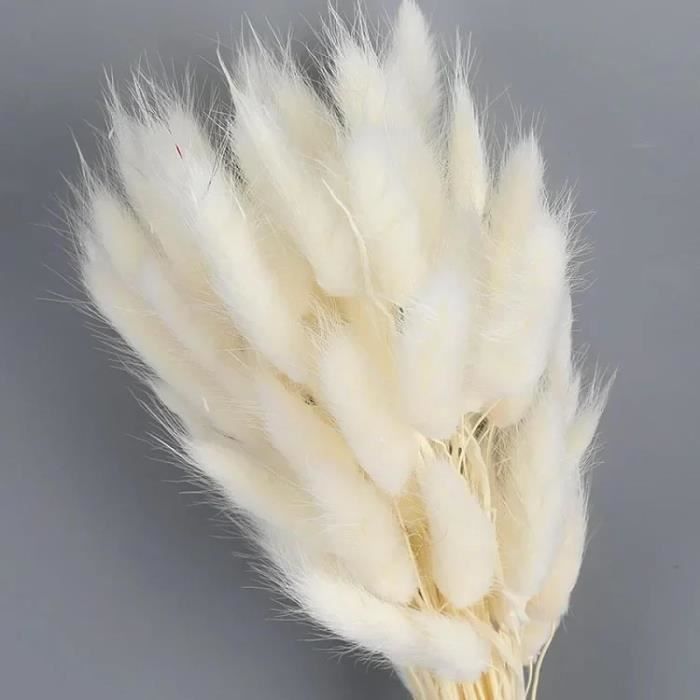 50 Brins De Queues De Lapin Séchées Naturelles - 45 Cm - Décoration Florale Bohème Pour Mariage, Maison, événements | Couleur Gris