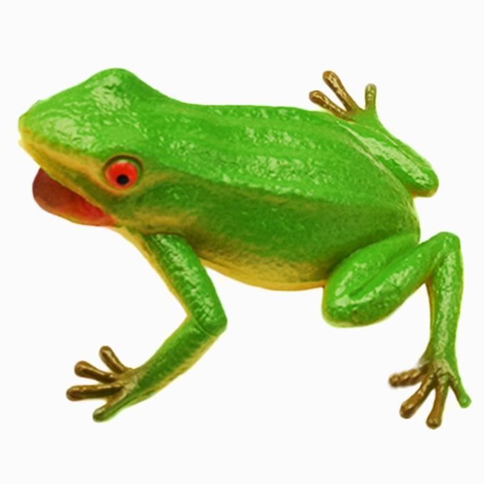 Jouet de saut grenouille rebondissante pour enfants,jouet amusant avec Jouet de saut grenouille rebondissante pour enfants,jouet amusant avec