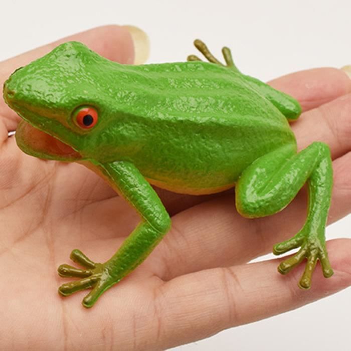 Grenouille Rebondissante, Jeu De Société Pour Les 6 Ans Et Plus, Jeu De Grenouille Rebondissante, Jeu De Société Pour Les 6 Ans Et Plus, Jeu De