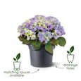 Elho Green Basics Cilinder Pot de fleurs Marron clair 55 cm-2