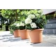 Elho Green Basics Cilinder Pot de fleurs Marron clair 55 cm-5