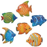 Magnets poissons exotiques - Lot de 6 Multicolore