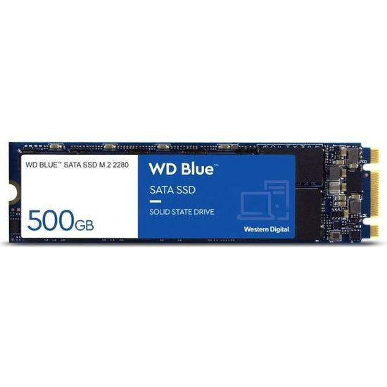WD Blue™ - Disque SSD Interne - 3D Nand - 500Go - M.2 SATA (WDS500G2B0B)