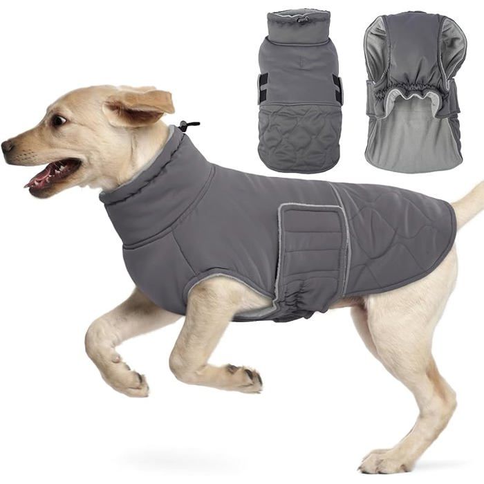 Manteau Pour Bouledogue Francais