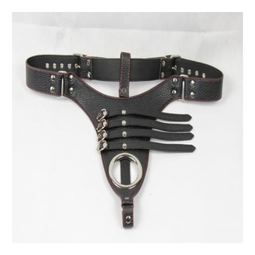 Ceinture De Chasteté Au Moyen Age Ceinture de chasteté pour Lui - Achat / Vente Ceinture de chasteté pour