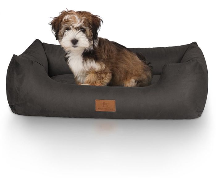 Knuffelwuff Dreamlinepanier Lit Coussin Corbeille Pour Chien Noir M L 85 X 63cm