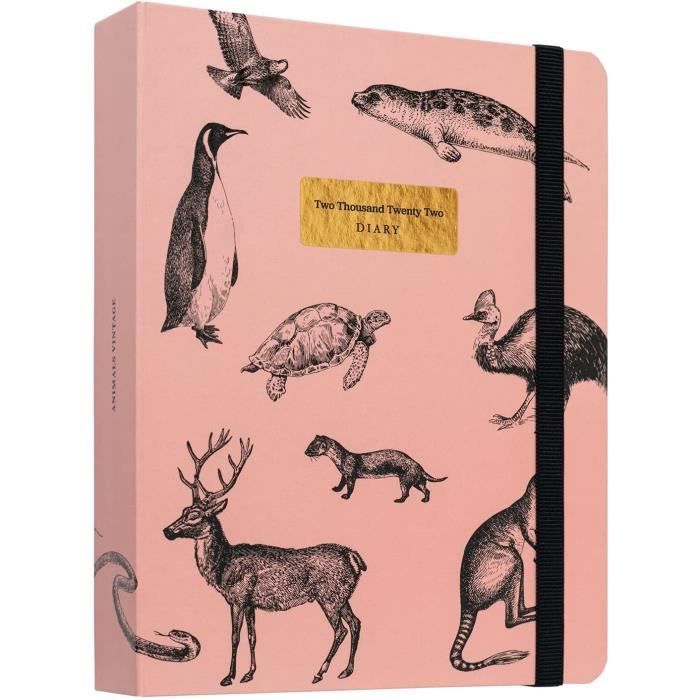 Kokonote Agenda Semainier 2021 2022 Vintage Animals | Agenda Planner d'Août 2021 à Décembre 2022 | Agenda Spirale 16,5x20 cm 147 - Cdiscount Beaux-Arts et Loisirs créatifs Kokonote Agenda Semainier 2021 2022 Vintage Animals | Agenda Planner d'Août 2021 à Décembre 2022 | Agenda Spirale 16,5x20 cm 147 - Cdiscount Beaux-Arts et Loisirs créatifs