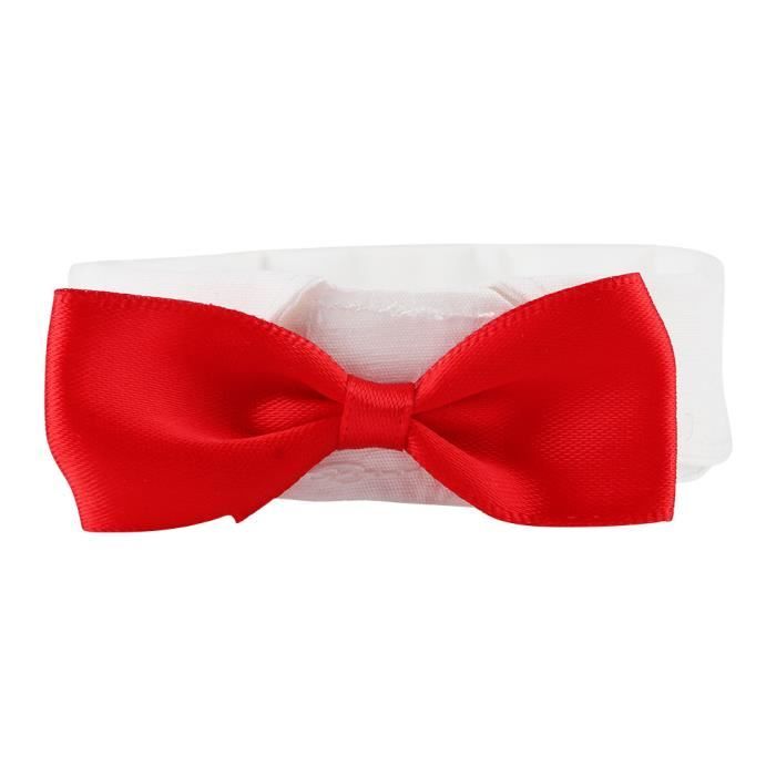 Cravate pour perroquet