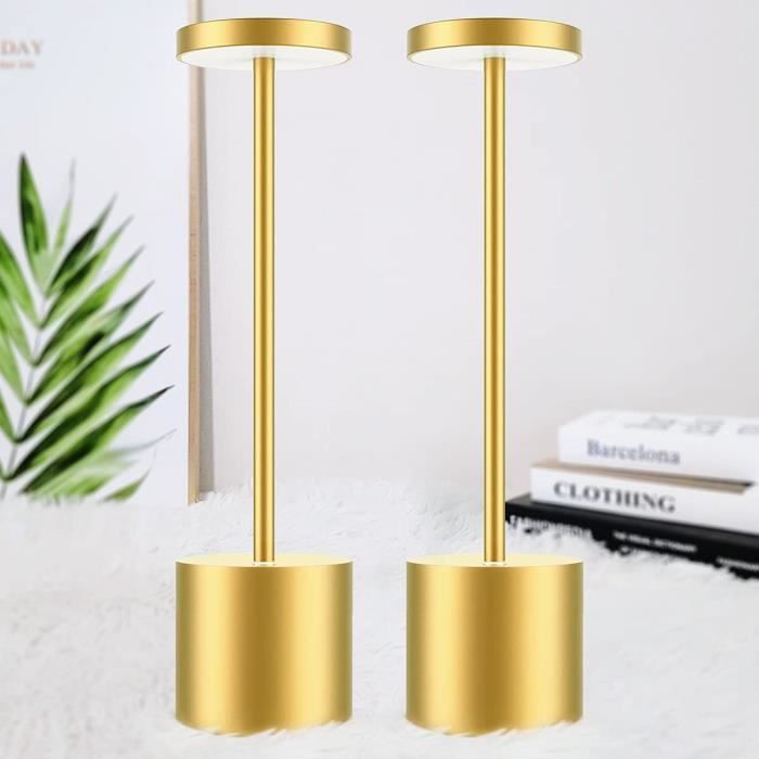 Bravzurg Lampe de table LED sans fil, 5000mAh lampe design rechargeable ...