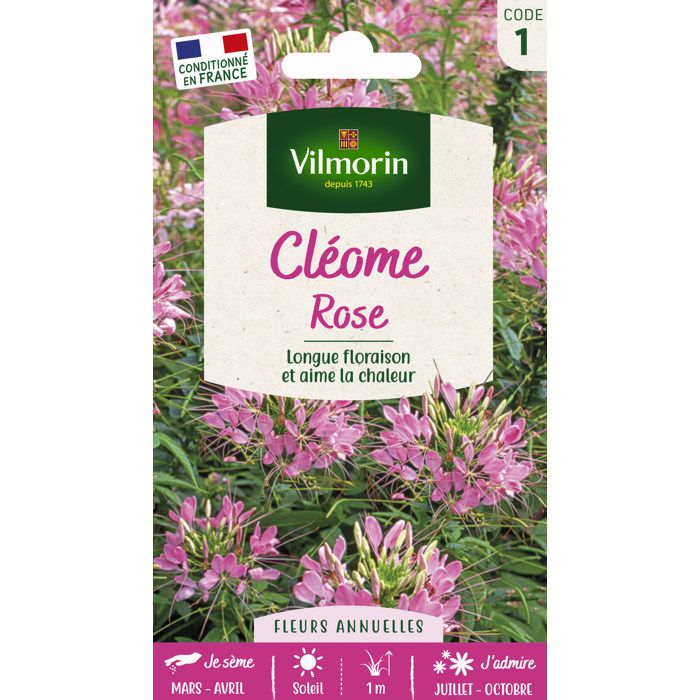 Comparer les prix de VILMORIN Cleome rose
