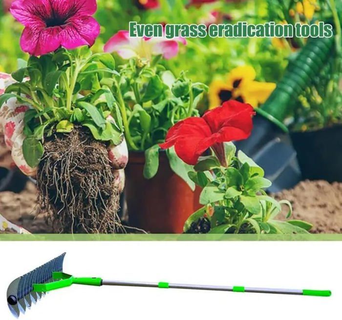 Daration Scarificateur DArateur De Pelouse Outil De Jardin Pour Llimination De ...