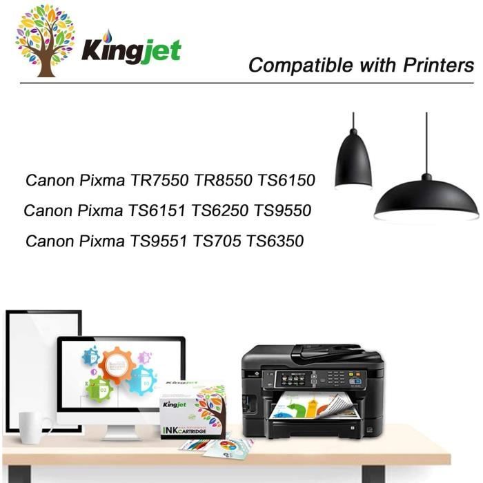 TONER KINGDOM 20 Cartouches d'encre Compatible pour Canon PGI-580xxl  CLI-581xxl Compatible pour Canon Pixma TS8350 TS8150 TS8250 - Cdiscount  Informatique