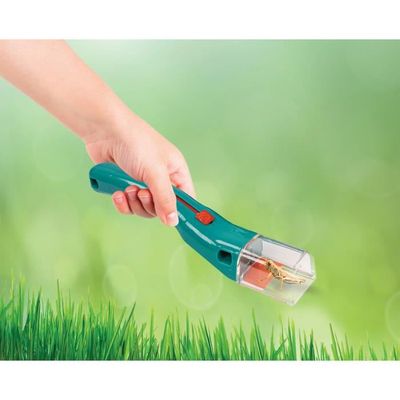Science4you Starter Kit Oeufs des Dinosaures - Kit Scientifique pour Creuser des œufs de Dinosaures - Jeu de Paléontologie avec 2 Oeufs, Jouet