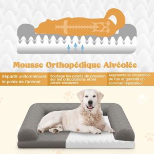Petslino - Panier Orthopédique Pour Chien Taille L, Mousse Mémoire De Forme, Personnalisable Avec Le Prénom De Ton Chien - Vert, Fond Antidérapant