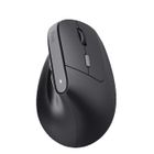 Souris Optique Sans Fil - TRUST - Bayo II - Ergonomique - Silencieuse - 2400 DPI