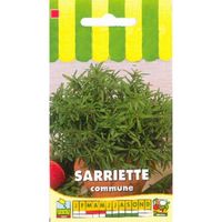 Sachet de  Sarriette Commune - 0,5 g - légume feuille - LES GRAINES BOCQUET