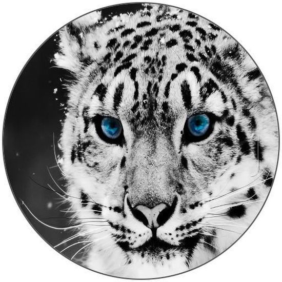 Dessous De Verre Rond Bebe Tigre Blanc Royal 123 Cdiscount Maison