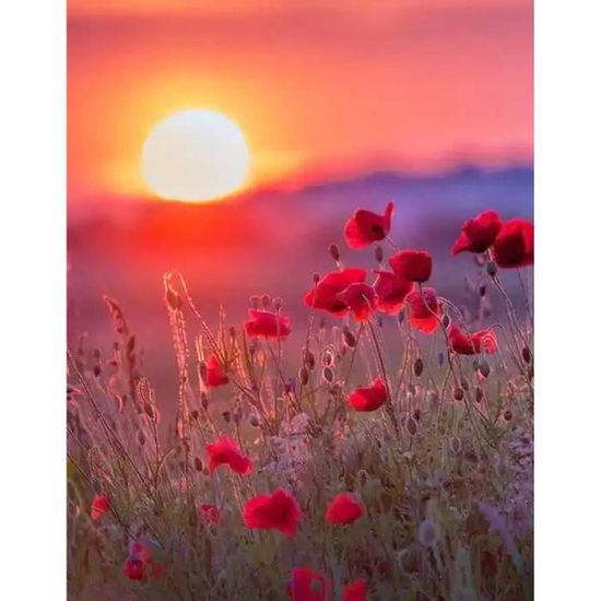 Images de Vintage Coucher Soleil Svg – Téléchargement gratuit sur Freepik Images de Vintage Coucher Soleil Svg – Téléchargement gratuit sur Freepik