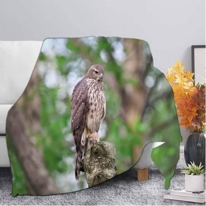 Plaid Polaire 220X220Cm Autour Des Palombes Gris Plaide Canapé Lit